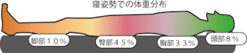 敷き布団 体重分布図
