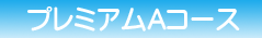 プレミアムAコース