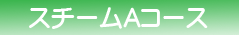 スチームAコース