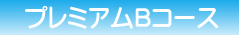 プレミアムBコース