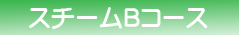 スチームBコース
