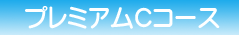 プレミアムCコース