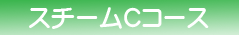 スチームCコース